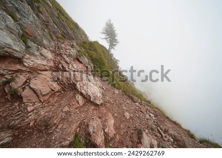 Hiking trail on the ,,Grosser Mythen" a beautiful mountain 1,898 m high in the canton of Schwyz in Switzerland.  Royalty-Free Stock Photo #2429262769