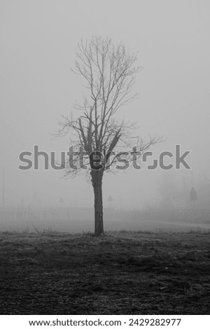 sad picture with objects surrounded by fog