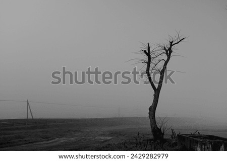 sad picture with objects surrounded by fog