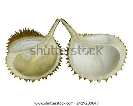 Indonesia Durian Fruit King Fruit Duren Lokal              Royalty-Free Stock Photo #2429289849