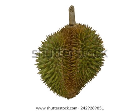 Indonesia Durian Fruit King Fruit Duren Lokal              Royalty-Free Stock Photo #2429289851