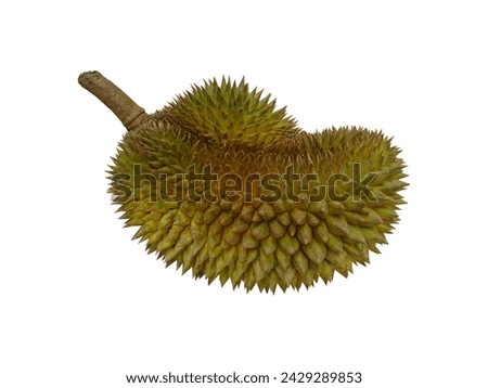 Indonesia Durian Fruit King Fruit Duren Lokal              Royalty-Free Stock Photo #2429289853