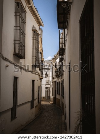 View of narrow empty cobblestone street in the historical old town of Cordoba, Andalusia, Spain, in the historical neighborhood, white painted buildings, summer morning