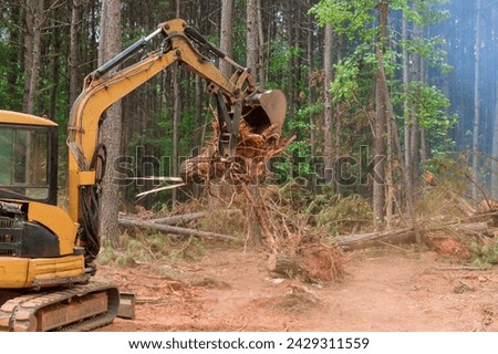 Excavators, tractors are uprooting trees to prepare land for construction of residential complex Royalty-Free Stock Photo #2429311559