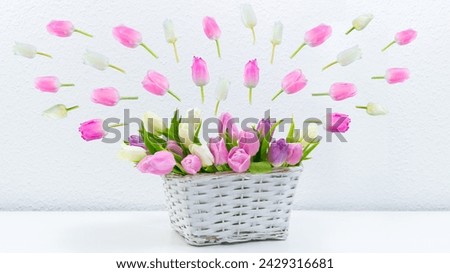 Bouquet of fresh natural tulips flowers stands in wicker basket. Tulip heads fly out of basket. Greeting cards for mothers, women's day, birthday day, or other occasions. White background. Copy space.