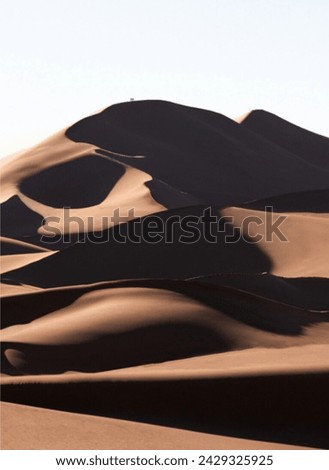 Erg Chebbi or Merzouga desert. The highest sand dunes of Morocco. Royalty-Free Stock Photo #2429325925