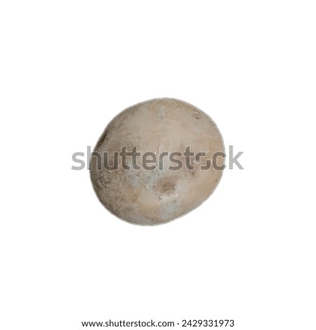 This is a picture of potato on white background.