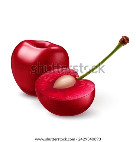 Illustration of smooth-skinned, ripe red sweet cherries, juicy light red flesh, and small pits, on a white backdrop Royalty-Free Stock Photo #2429340893
