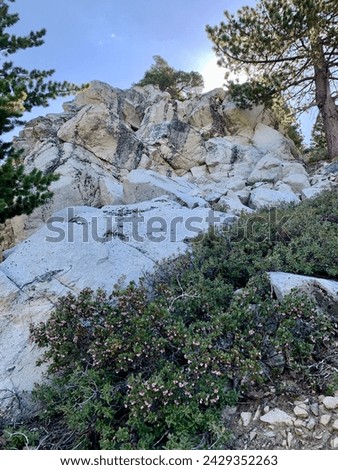 Mountain of white rocks with the sun behind and trees on the sides