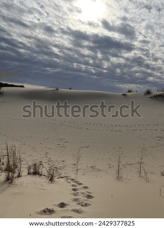The picture captures a mesmerizing view of sandy dunes stretching as far as the eye can see under a clear blue sky. 