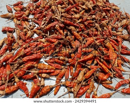 Red chillies are dried in the sun as a spice in cooking, giving them a spicy flavour.  Sun drying is a natural way to preserve food.  When completely dry, it can be pounded to make curry paste.