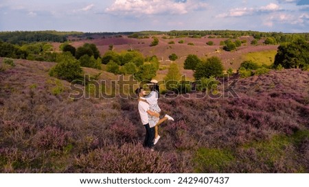 Posbank National Park Veluwe, purple pink heather in bloom, blooming heater on the Veluwe by the Hills of the Posbank Rheden, Netherlands. couple of men and women walking at the Heather fields summer Royalty-Free Stock Photo #2429407437