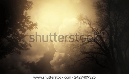 Dramatic heat atmosphere of summer hot climate bright yellow sky with silhouette dry trees. Image use for meteorology and environment presentation and report background.
