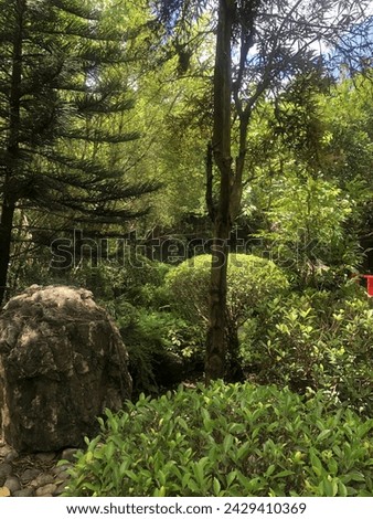 path in the Japanese-style garden and its decorated flowers and green stuff Royalty-Free Stock Photo #2429410369