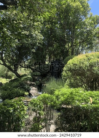 path in the Japanese-style garden and its decorated flowers and green stuff Royalty-Free Stock Photo #2429410719