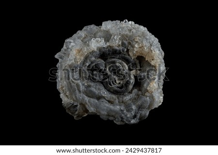 Chalcedony "flower" mineral specimen, isolated background Royalty-Free Stock Photo #2429437817