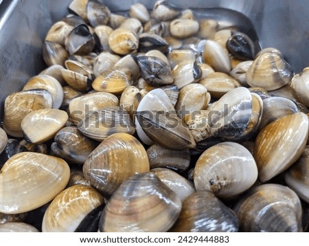 Fresh and raw clams at wet market.