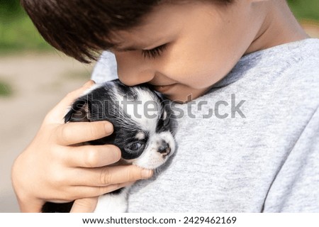 A boy holding a Chihuahua puppy in his arms