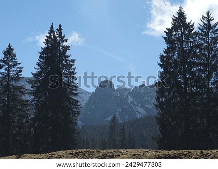 View of the Alps in Allgaeu in Germany Royalty-Free Stock Photo #2429477303