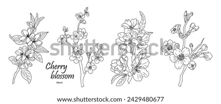Set of Cherry Blossom, March birth month flowers. 