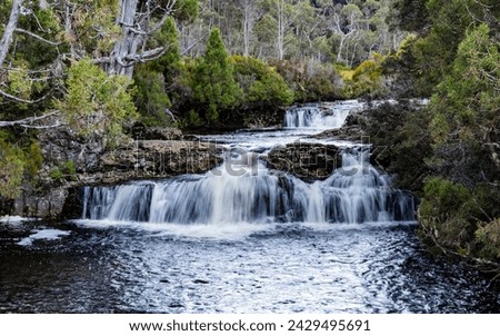 Pencil Pine Creek can be viewed from Cradle Mountain Road. A clear view of the creek is available from the bridge cross the creek. This is located near Peppers Cradle Mountain Lodge.  Royalty-Free Stock Photo #2429495691