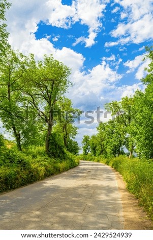 View of winding country road against beautiful blue sky with white fluffy clouds.Picture taken on July 11,2014 in the vicinity of Krichim town in the foot of Rhodope mountain,Bulgaria