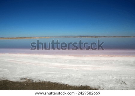 Salt lagoon at in the Laguna Ojo de Liebre, Baja California Sur, Mexico Royalty-Free Stock Photo #2429582669