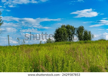 A green field under a blue sky.