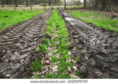 Grown level view of tractor tyre prints seen in soft ground after heavy rains in the UK. Royalty-Free Stock Photo #2429599729