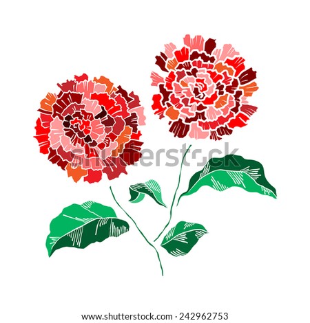 Hand drawing chrysanthemum flower vector illustration