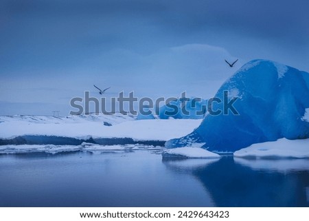 Jökulsarlon Glacier Lagoon. Beautiful blue hour, shot with Canon Eos R5, Jan 2024 Royalty-Free Stock Photo #2429643423