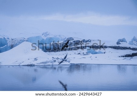 Jökulsarlon Glacier Lagoon. Beautiful blue hour, shot with Canon Eos R5, Jan 2024 Royalty-Free Stock Photo #2429643427
