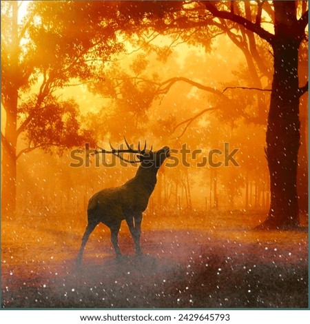 Deer animal jungle picture look amazing and beautiful picture 