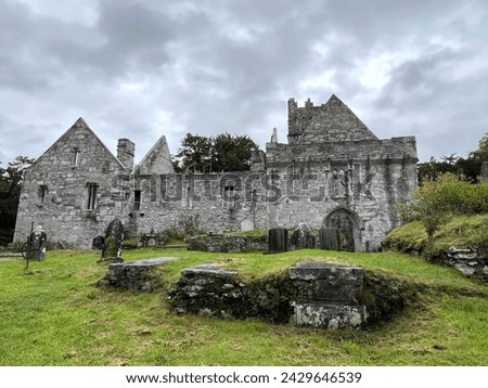 Ancient Muckross Franciscan Friary, with gravestones near the building, is silhouetted against a cloudy sky on a rainy and misty autumn morning near Killarney, Ireland Royalty-Free Stock Photo #2429646539