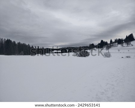 Snow Landscape white stock background 