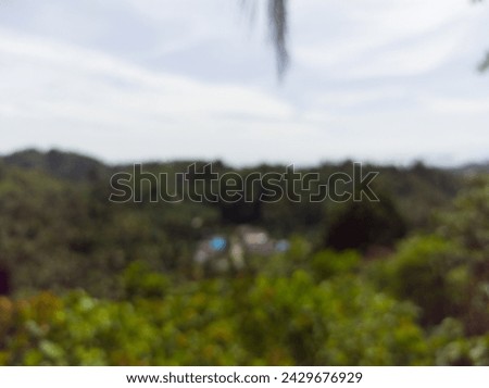 Various blurry photos with nature and forest backgrounds. Nature and forest photos use optical blur for background purposes. blur natural and light background in the jungle
