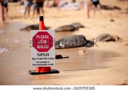 Large turtles resting on a sandy Hawaiian beach on a sunny day, with some blurred people in the background and a sign warning tourists that there are turtles in front of them in the foreground