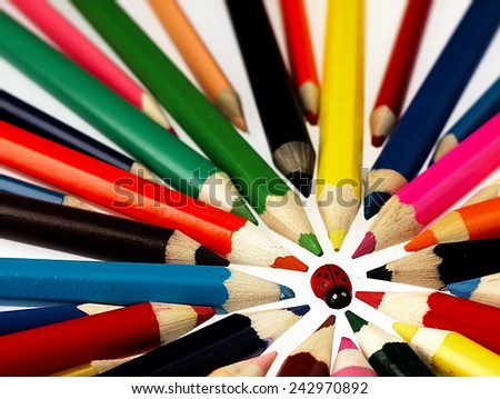 Wooden crayons and small ladybug. The visible spectrum of colors. Arranged in a circle.                                                                       