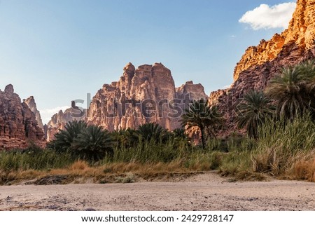 Cliffs of Wadi Disah canyon, Saudi Arabia