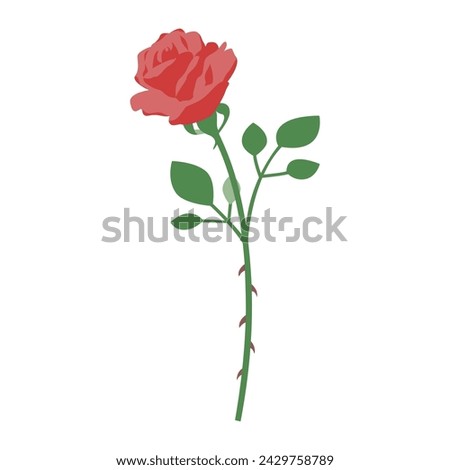 Illustration of a single rose, icon, vector