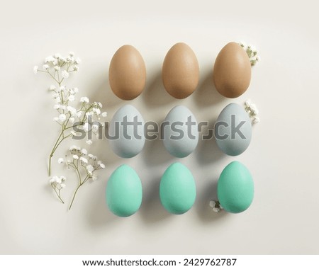 Easter Eggs pattern with White Gypsophila flowers on Light beige Background. Dyed colorful eggs in pastel colors, spring holiday photo, tender soft hues, flat lay of celebration food and white blooms