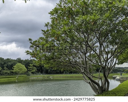 Mini jogging park on the Semarang Central Java with lake, cloudy vibes and blue sky. The photo is suitable for park background, relax and enjoy place content media.