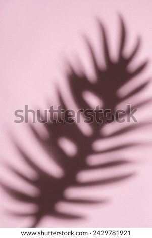 This image captures a dreamy, abstract pattern formed by the blurred movement of palm fronds in a gentle, diffused light.