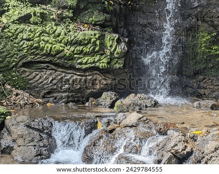 beautifull waterfall background in asia