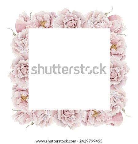 Frame of pink rose hip flowers. Victorian style rose. Floral watercolor illustration hand painted isolated on white background. Perfect for invitation, greeting cards, posters, labels, wallpapers