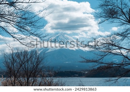 Mount Fuji with tree branches in winter Royalty-Free Stock Photo #2429813863
