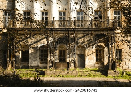 Curly, cast-iron columns frame the main entrance, with an openwork balustrade and flowerpots passing to the second floor, representing a balcony in the full picture. The main entrance to the castle.