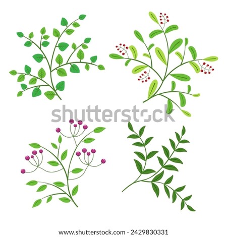 vector set of branches with leaves and berries on a white background.
