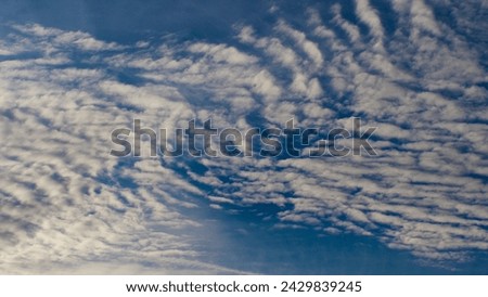 Close view of some altocumulus clouds, during the sunset