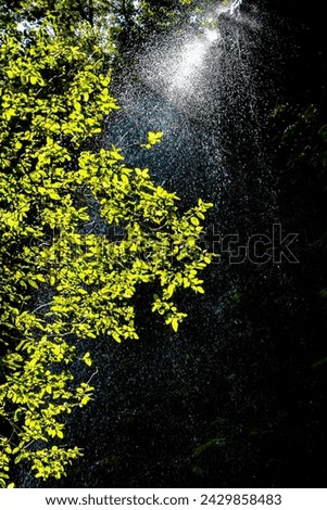 Photo Picture of a Beautiful Water Splash Waterfall